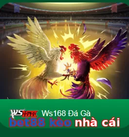 bet88 kèo nhà cái